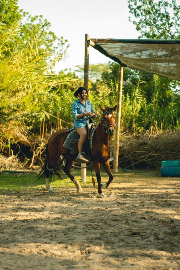 نزل إِكافي Luchy'S Country House المظهر الخارجي الصورة