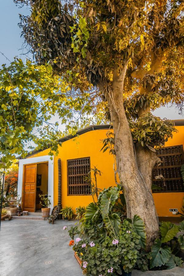 نزل إِكافي Luchy'S Country House المظهر الخارجي الصورة